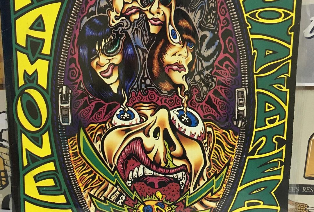 Disco Ramones – Acid Eaters